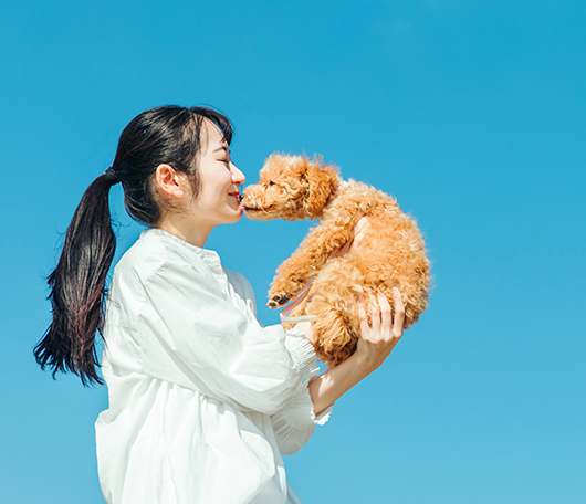代表あいさつ